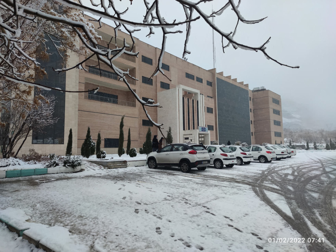 دانشکده اقتصاد